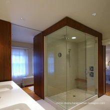 Minimalist Design Shower Enclosure with Frosted Glass